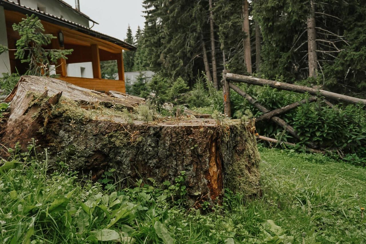 Mounthoff Retreat Villa Moroeni Kültér fotó