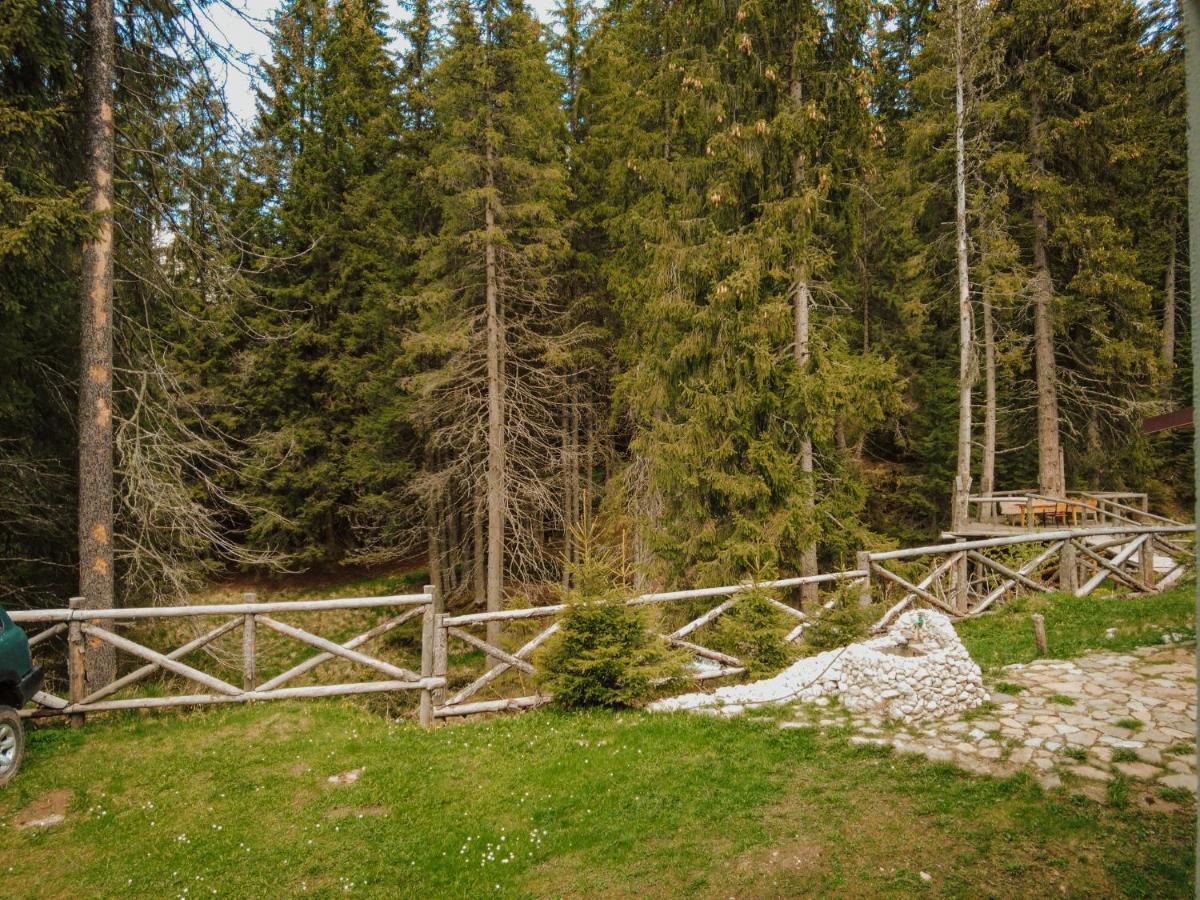 Mounthoff Retreat Villa Moroeni Kültér fotó